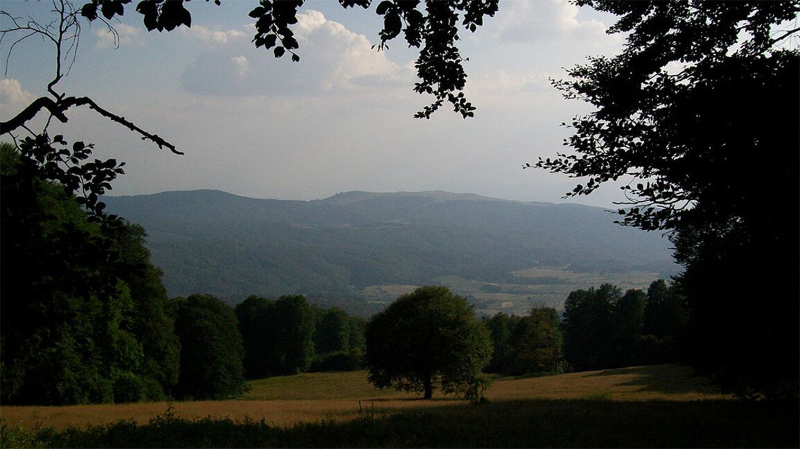 Classiques de légende: "Tu es belle, ma forêt"