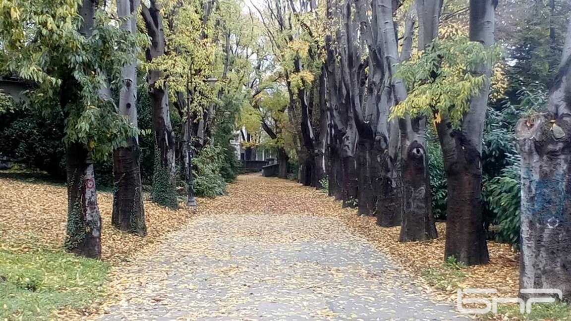 Есен в Морската градина на Варна