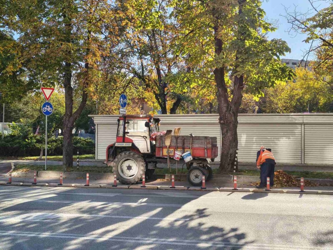 В Силистра ще изграждат общинска инсталация за компостиране