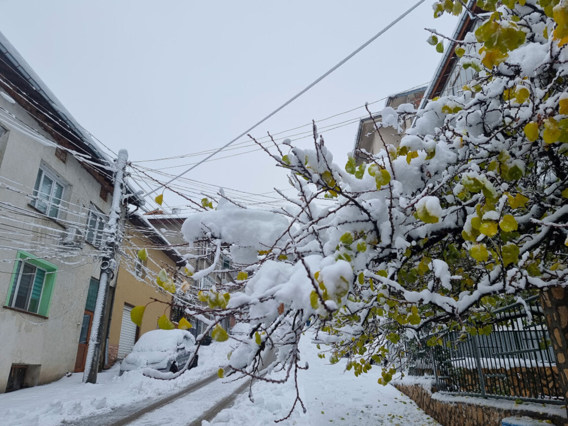 Пето денонощие домакинства в Ловешко са без ток