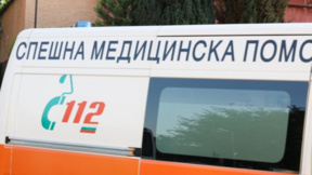 Питбул нападна и нахапа стопанката си в Раднево, жената е в болница   