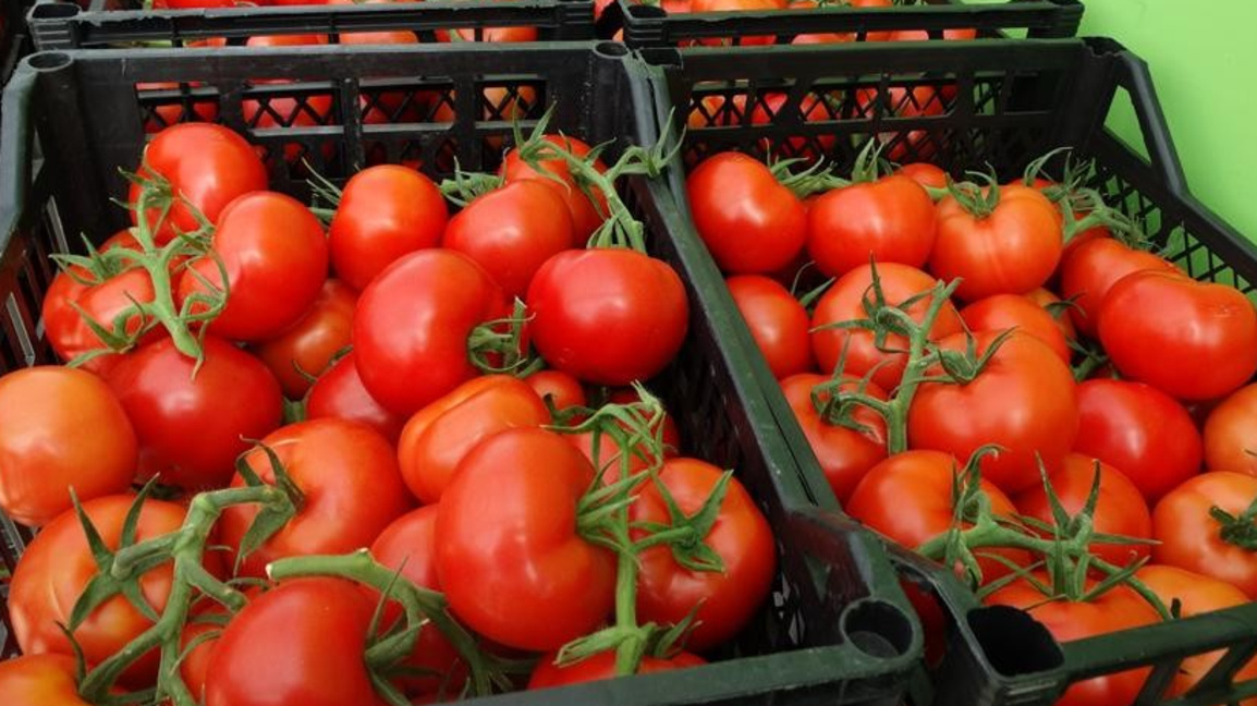 Снимката е илюстративна, архив.