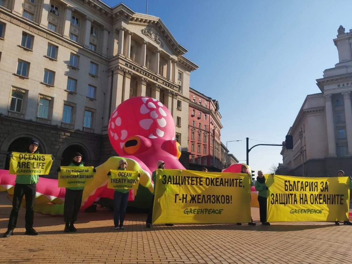 Екоактивисти настояха България да ратифицира Международното океанско споразумение