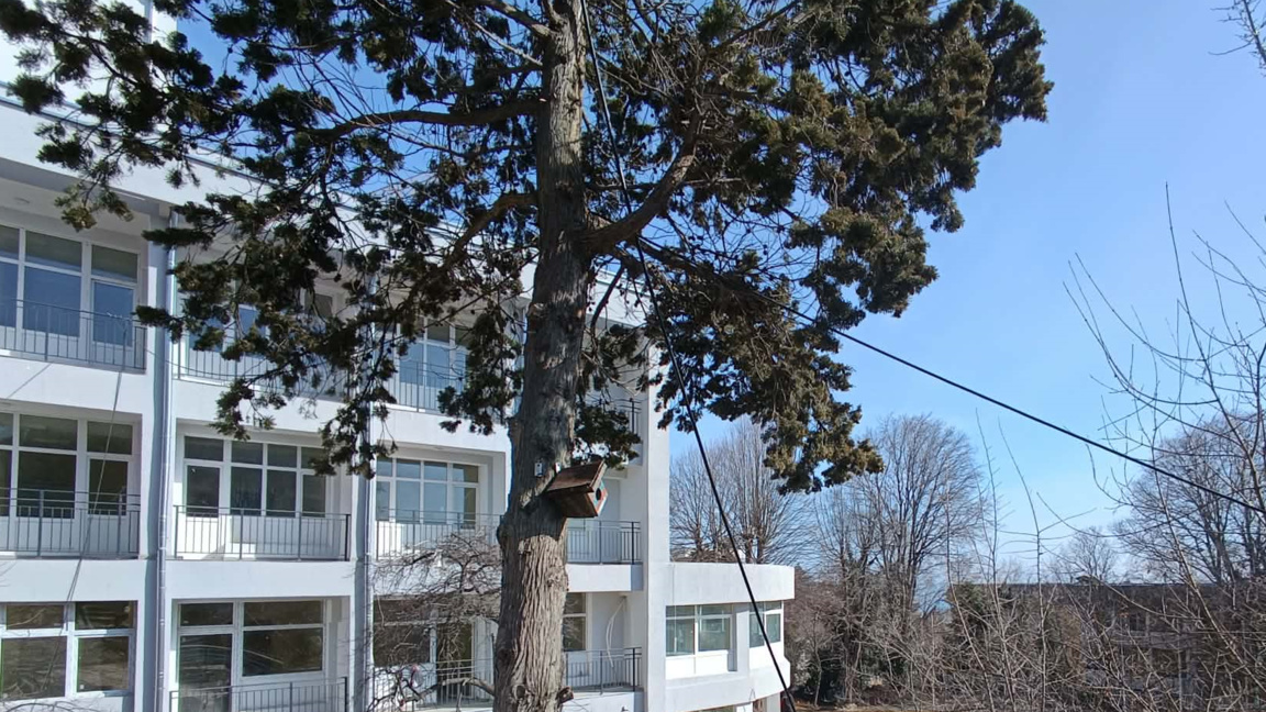 Защо иззеха храни и дрехи от стаите в дом за стари хора във Варна