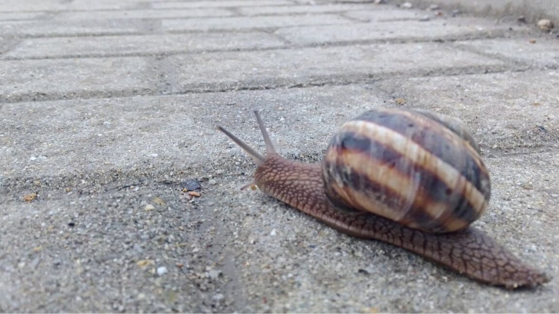 Температурите леко се понижават, възможни са превалявания