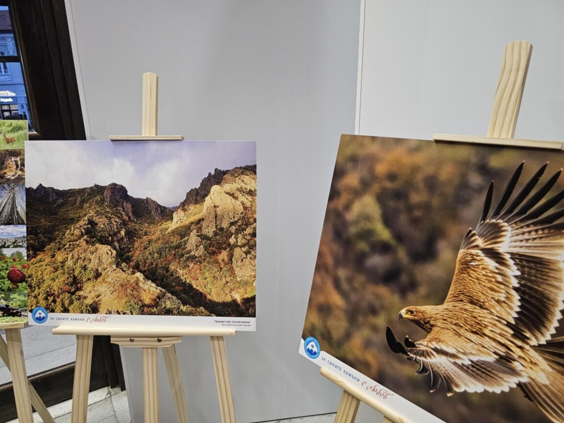 В Сливен се откри изложбата "Сините камъни с любов"