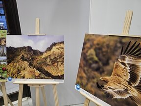В Сливен се откри изложбата "Сините камъни с любов"