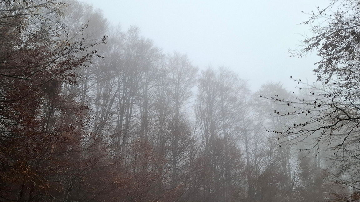 Winter day with temperatures close to zero