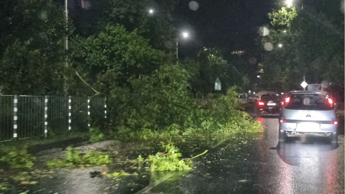 Rüzgar ve yağış Plovdiv, Blagoevgrad, Pirin ve Yambol’da hasara yol açtı