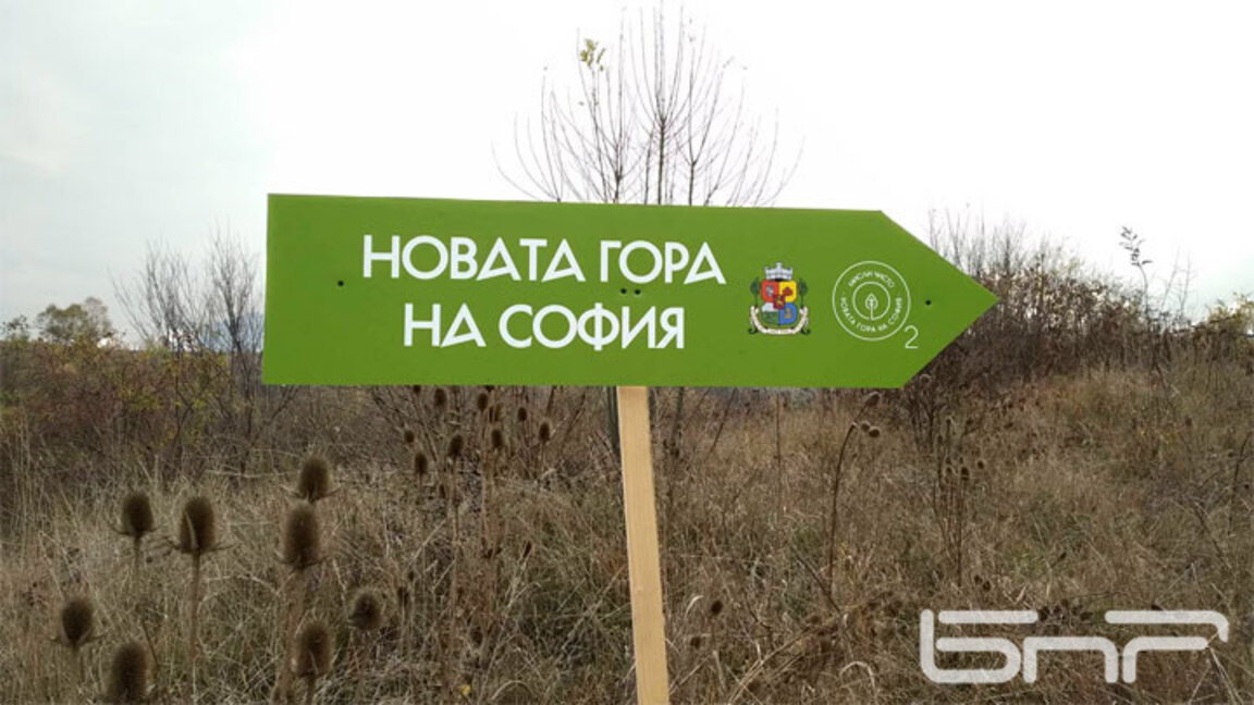 Насрочват 12 дни за засаждане на 4600 широколистни дръвчета край София