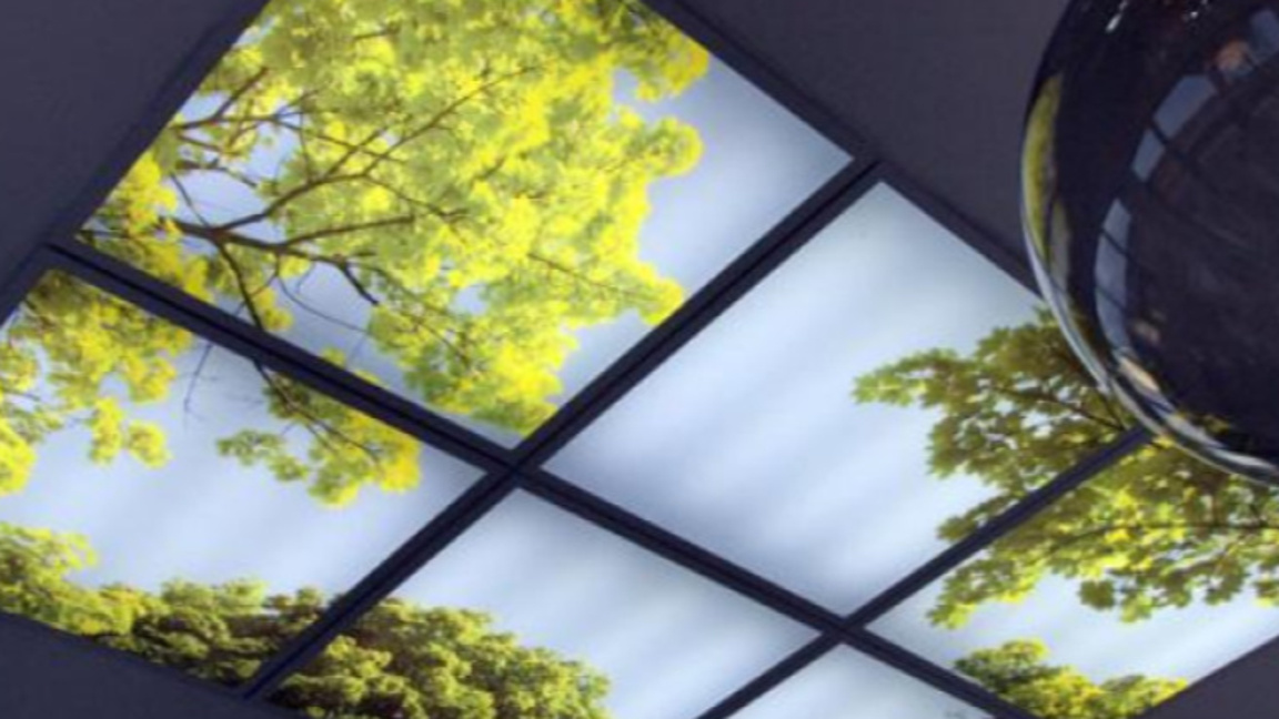 „На отворен прозорец“