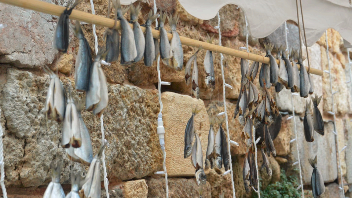 Fête du poisson salé à Sozopol