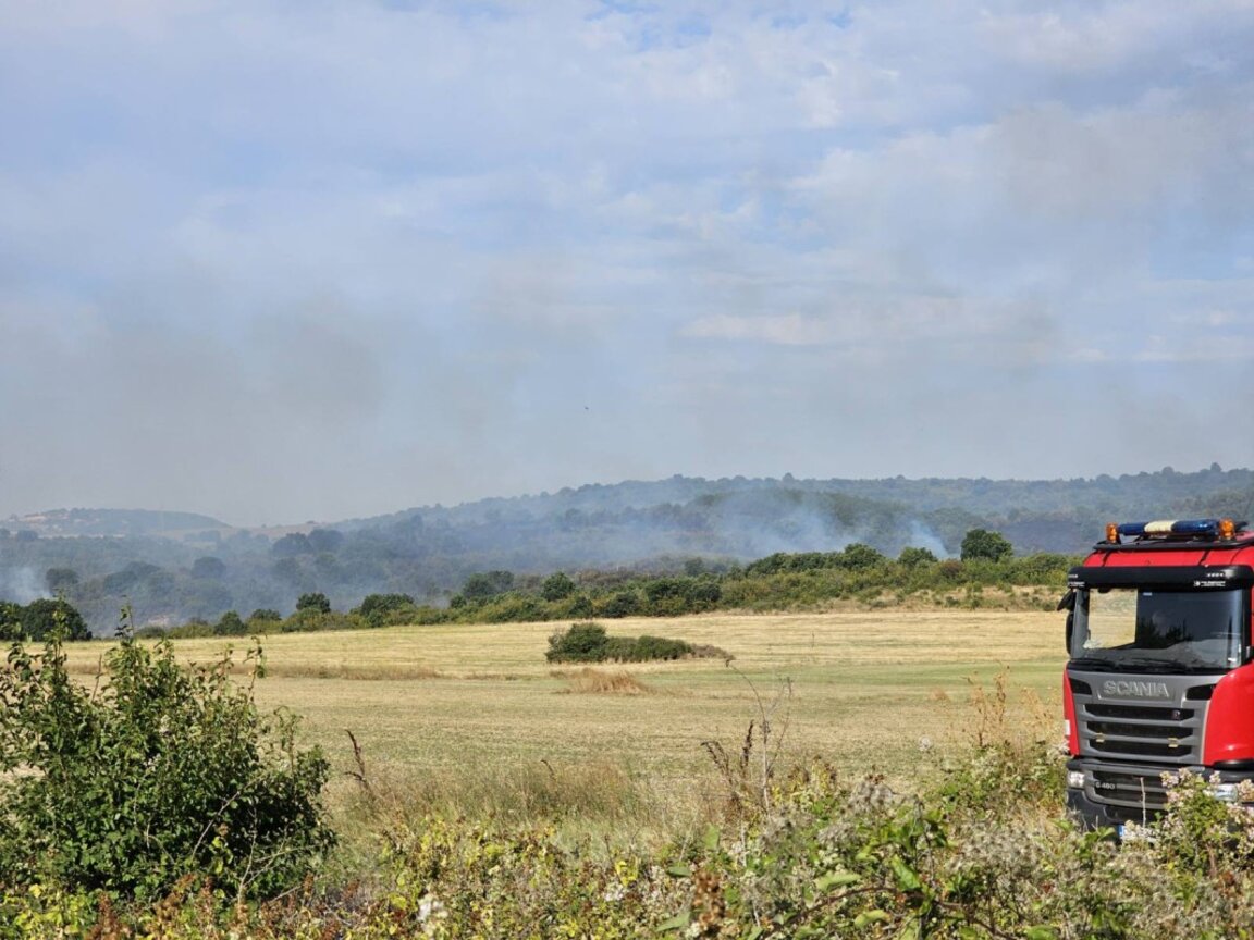 Un incendiu de vegetație a cuprins 700 de hectare de păduri în apropiere de Svilengrad