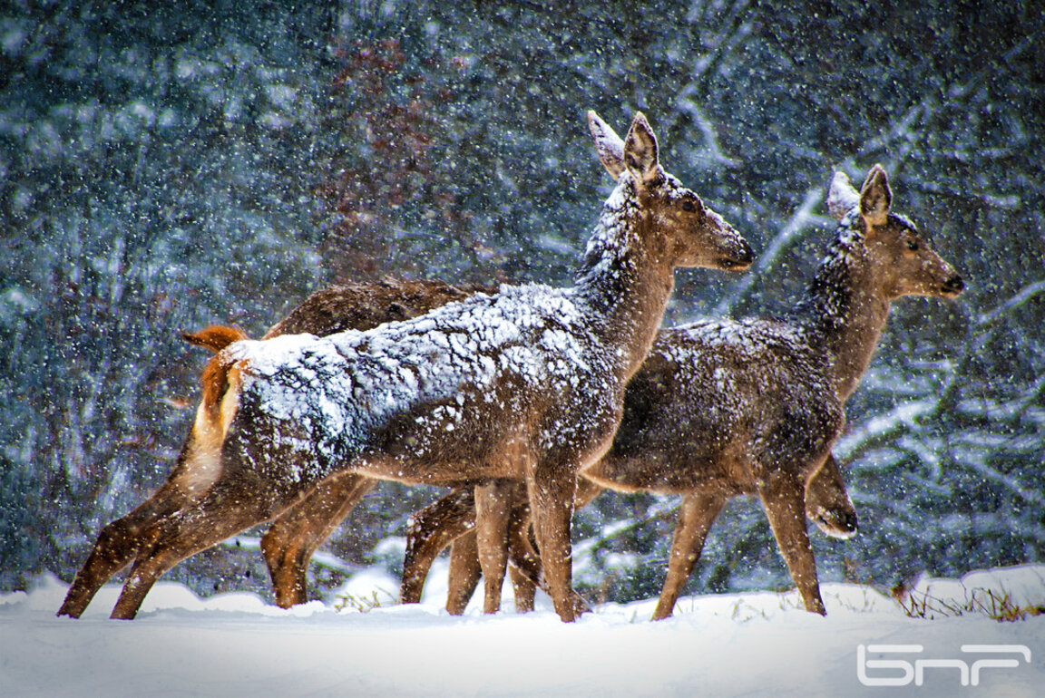 Wetteraussichten für Dienstag, den 5. Dezember
