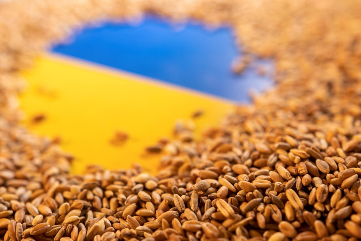 Bulgarien und weitere 4 Länder bestehen auf Zölle für ukrainisches Getreide