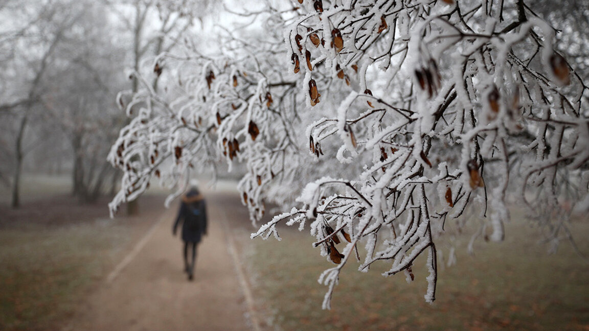 Cold weather on Monday with fog in the valleys, sunshine in the mountains