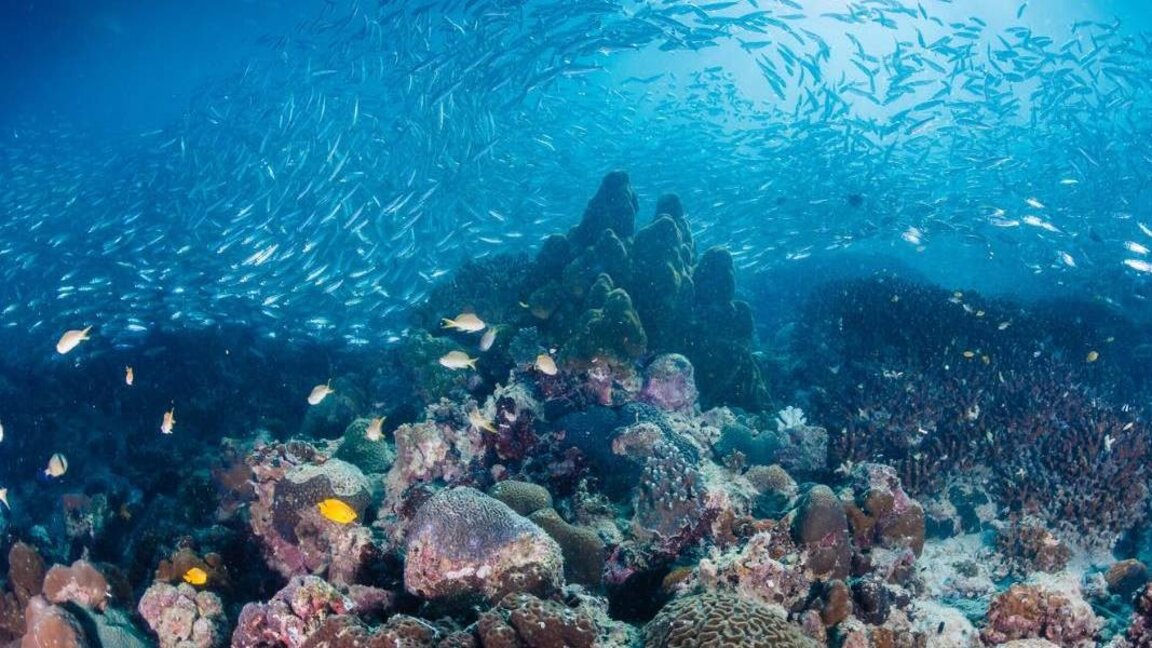 Científicos búlgaros dedican una conferencia al agua como recurso natural de valor inestimable