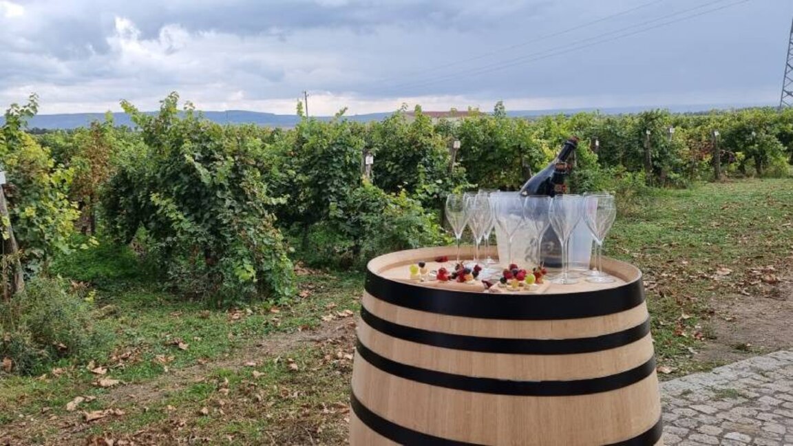 De la vigne à la bouteille: le vin légendaire Mavroud