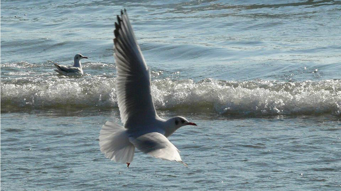 НОВИЯТ ДЕН на 24 януари с Иван Барбов