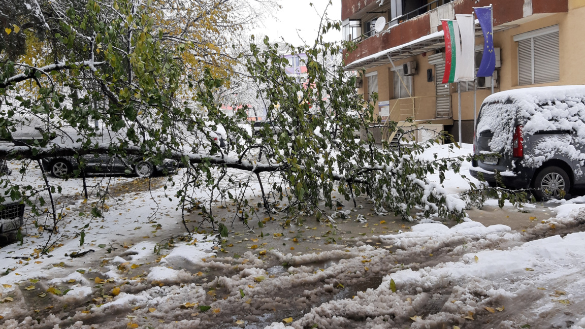 Лошото време създава проблеми в София
