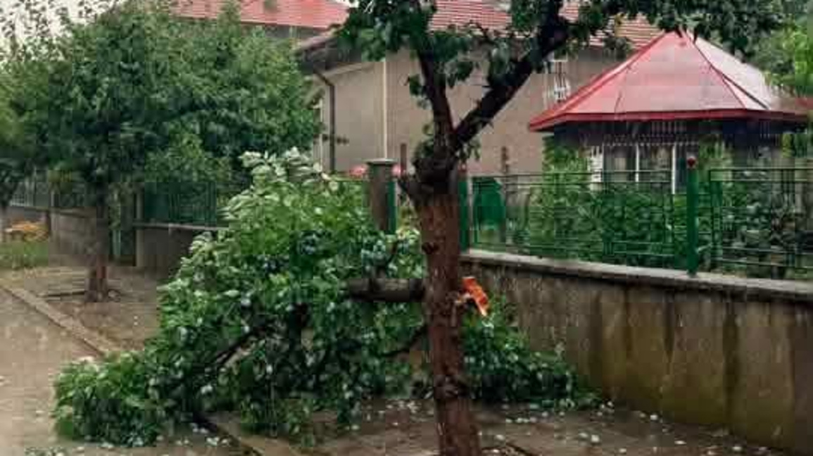 Буря помете Дуловско