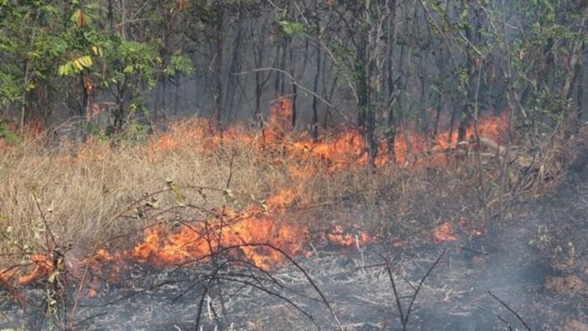 Снимката е илюстративна