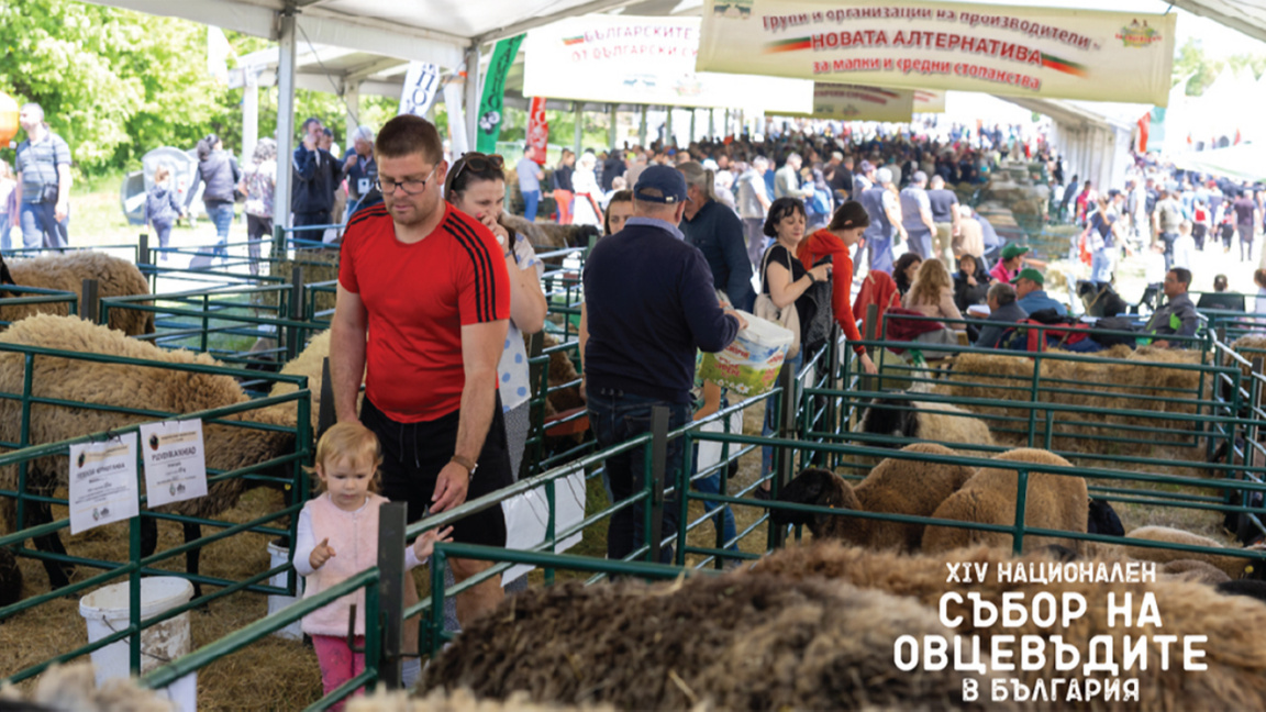 Petropavlovski Manastırı yakınlarında Ulusal Koyun Yetiştiricileri Şenlikleri 