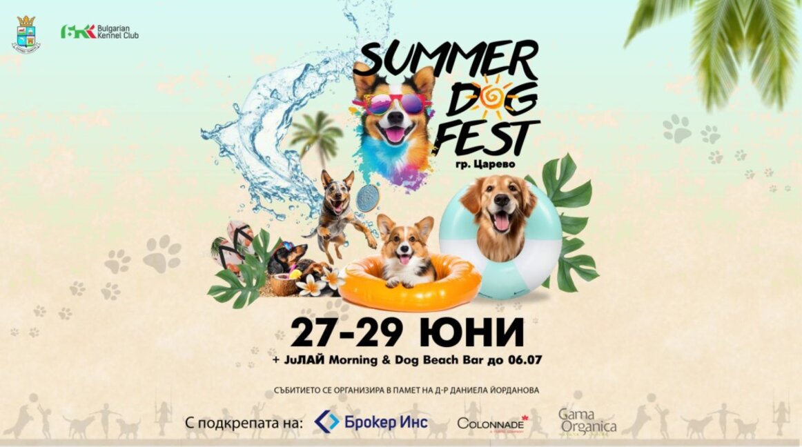 За кучетата с любов: Summer Dog Fest ще се проведе в Царево