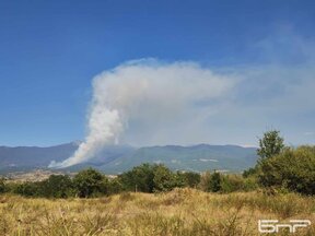 Пожарът между Сенокос и Стара Кресна е тръгнал от две къщи, търсят доброволци