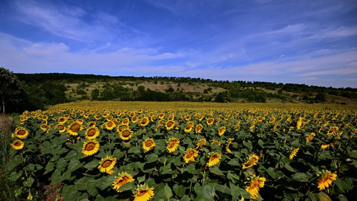 Temperatures drop slightly on Tuesday