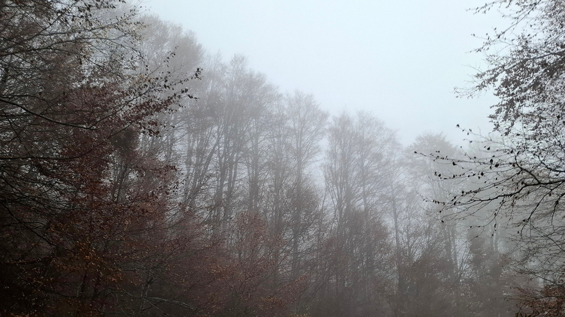 Morning mists and sunshine during the day