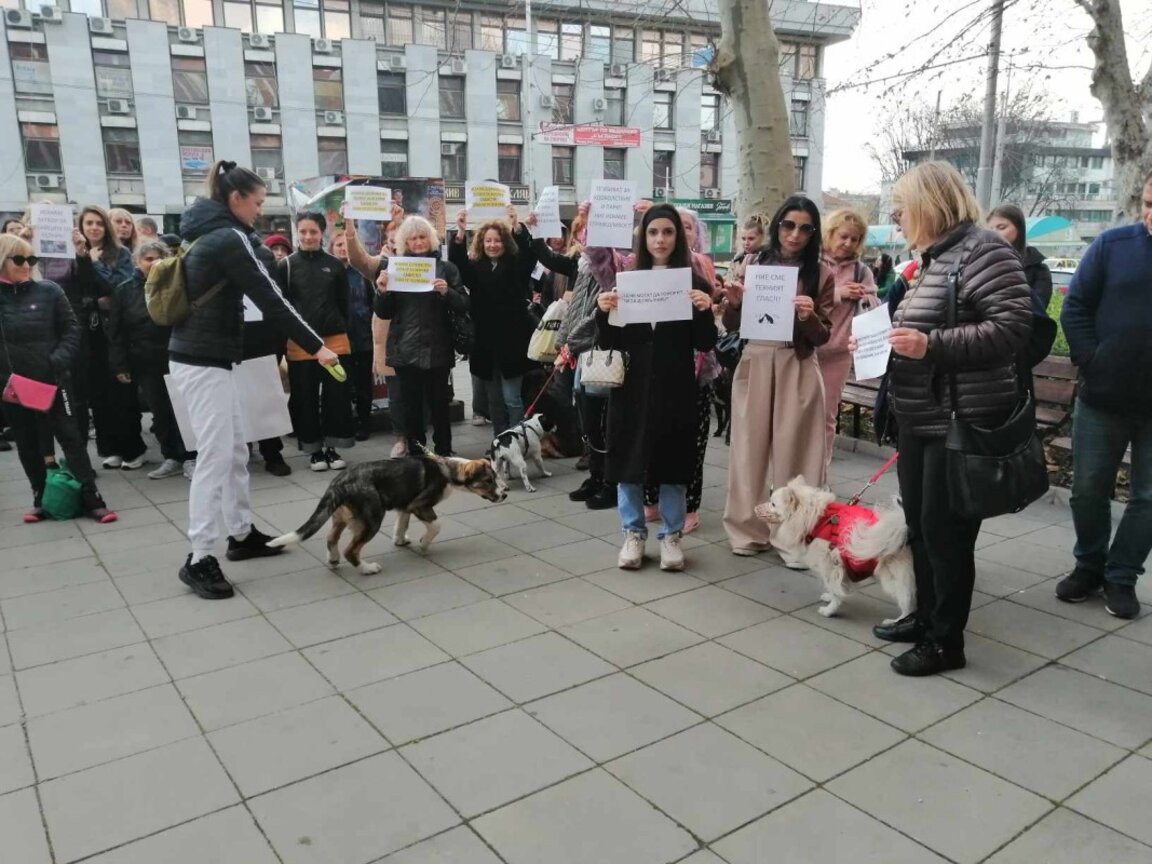 Протесты в 20 городах против насилия над животными