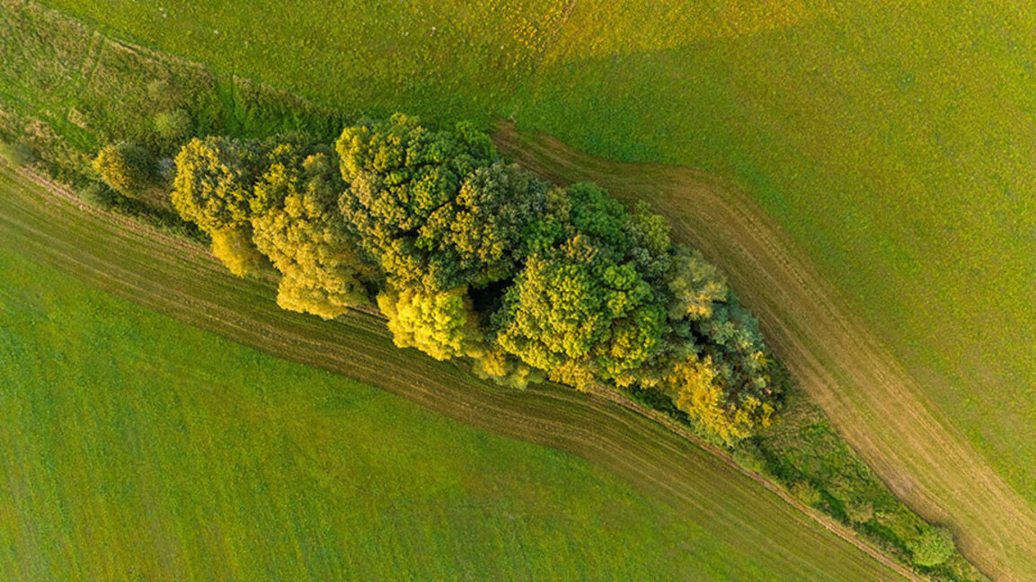 Природно земеделие – епизод 3: Консервационно, възстановително и безорно (no till) земеделие