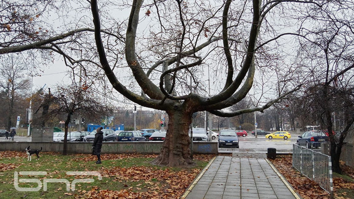 Топло за края на януари, температурите в София - от 2 до 7°
