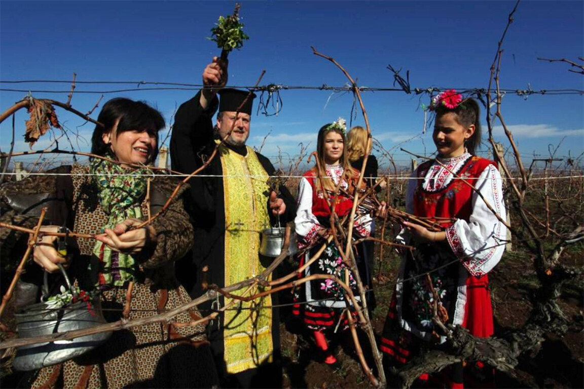 Trifon Zarezan: Vine and wine day as part of Bulgarian culture and tradition