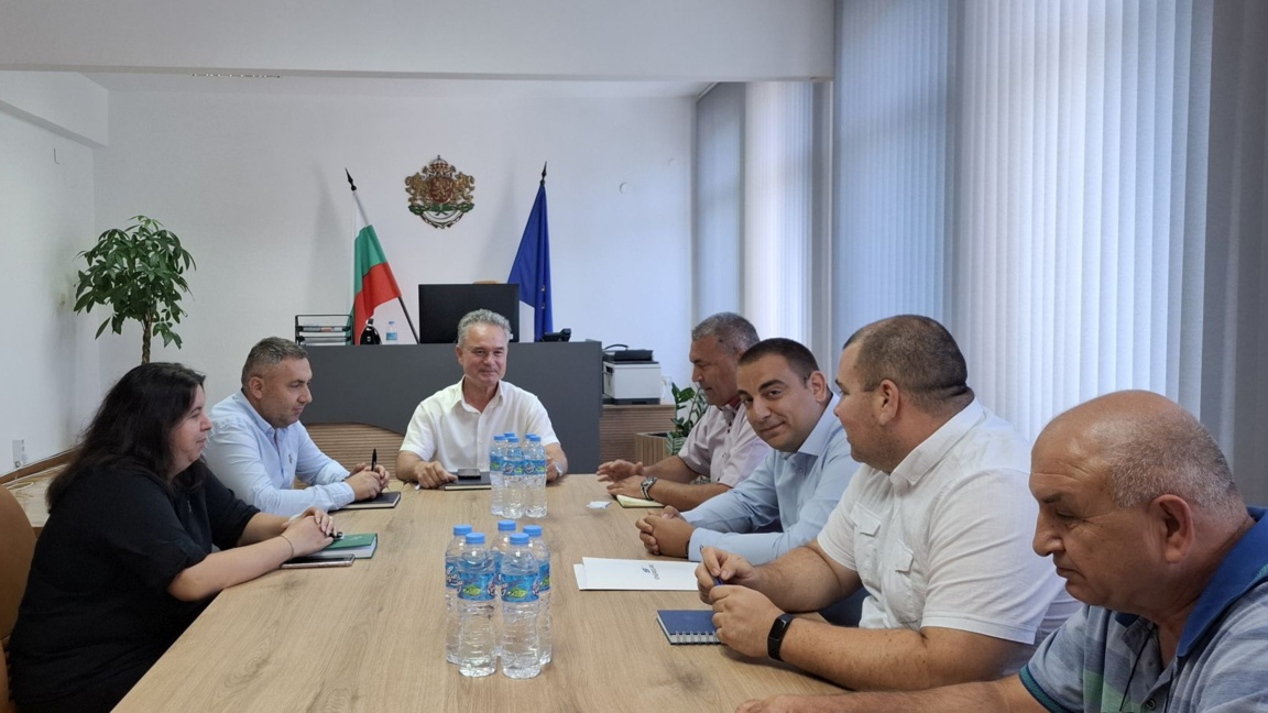 Махат опасни дървета край електропроводи