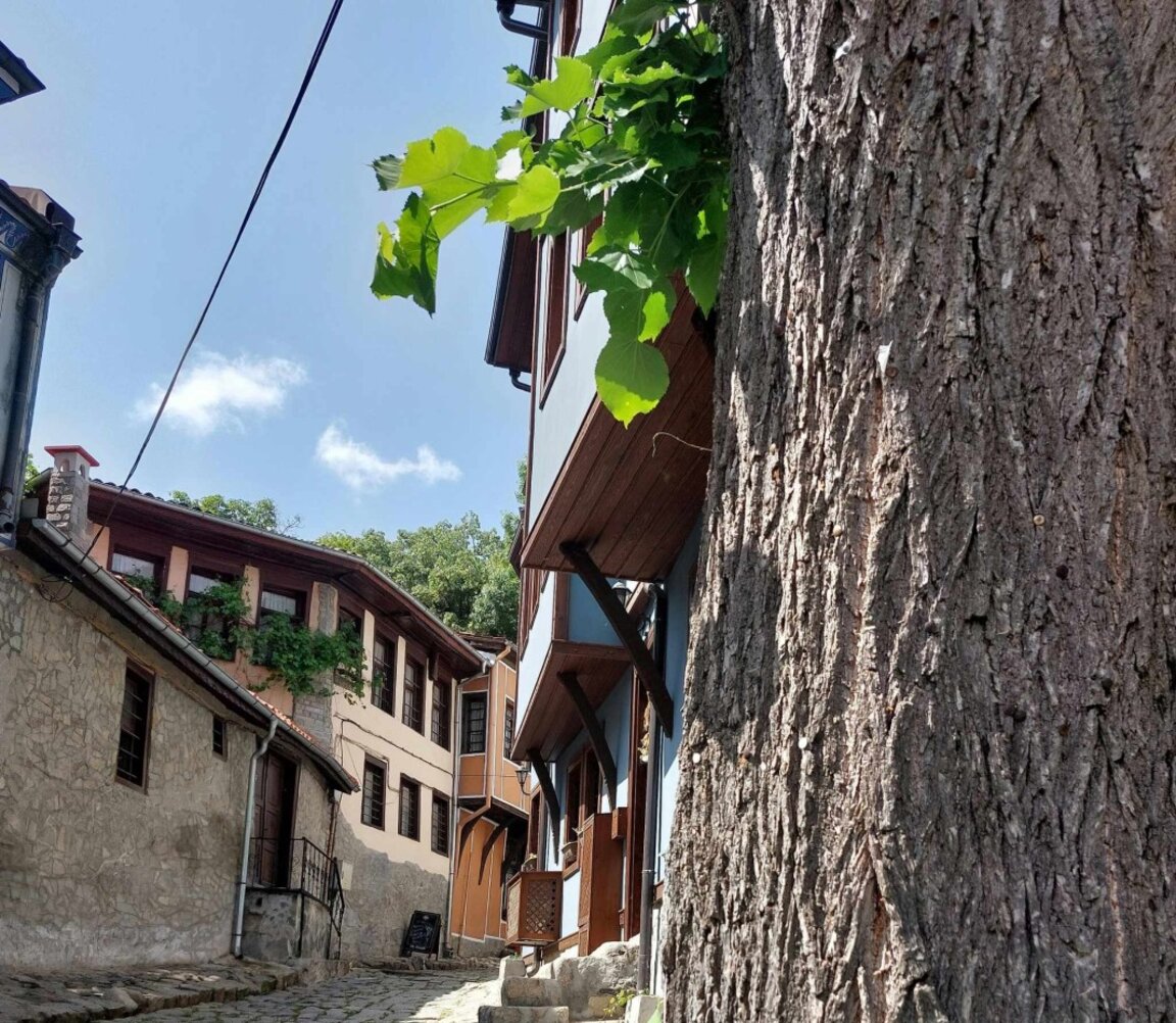 „Точно днес“ по калдъръма на Стария град
