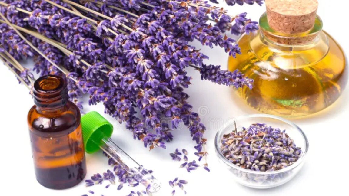 Lavanta yağının faydaları saymakla bitmiyor