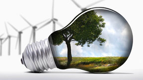 European financing provided for reintroducing vultures, cleaner wastewater and energy training