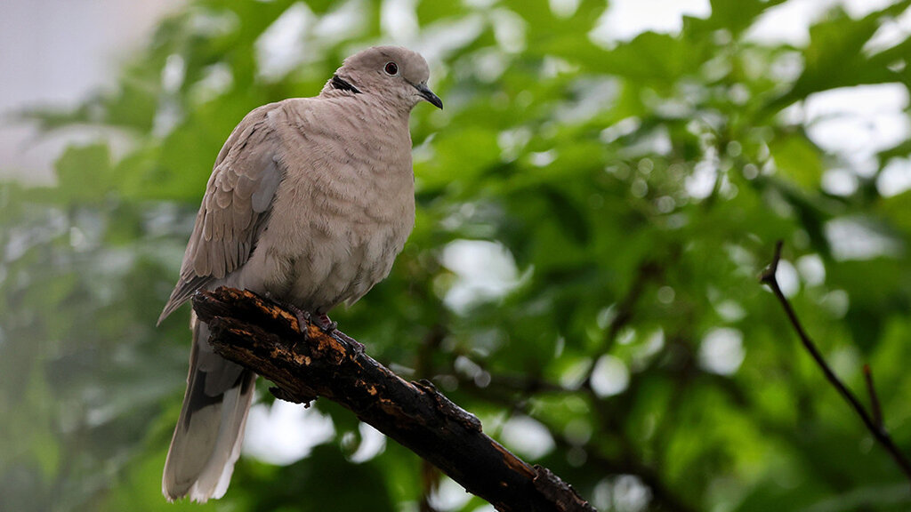 Времето остава много топло