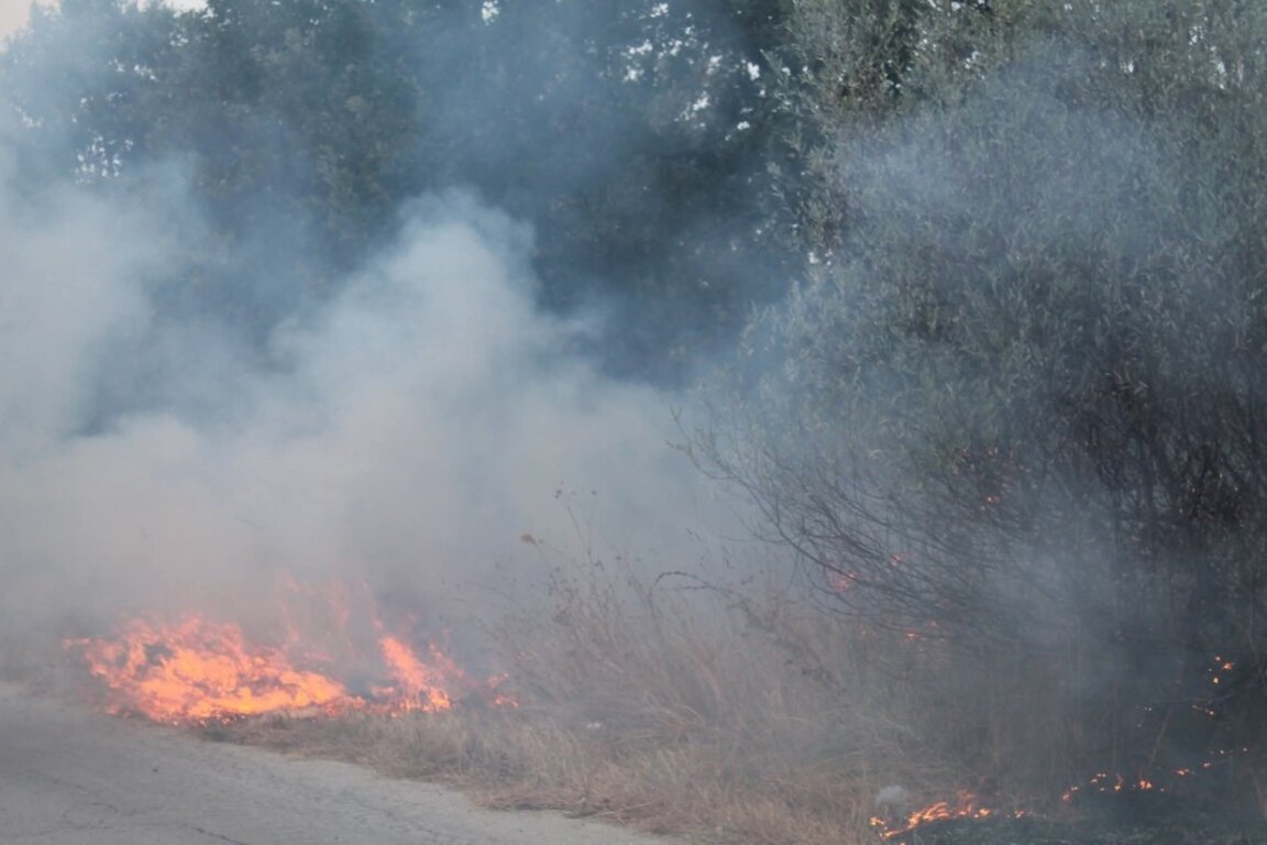 Пожарът в Сакар е локализиран