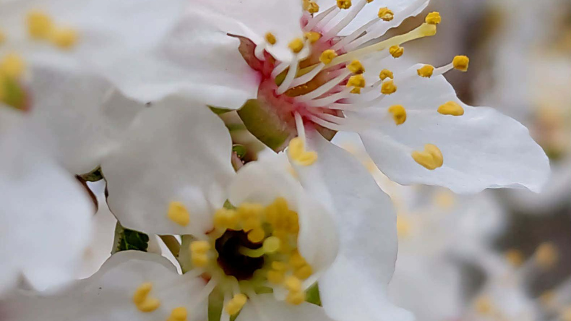 В понеделник с ,,Оттука започва денят"...