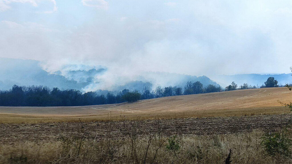 Няма пряка опасност пожарът в община Сунгурларе да засегне село Скала