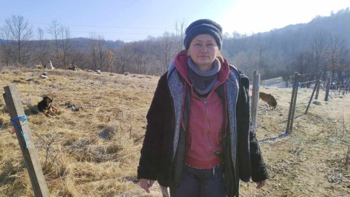Да имаш 400 кучета, котки и коне - спасителката от Еленския Балкан