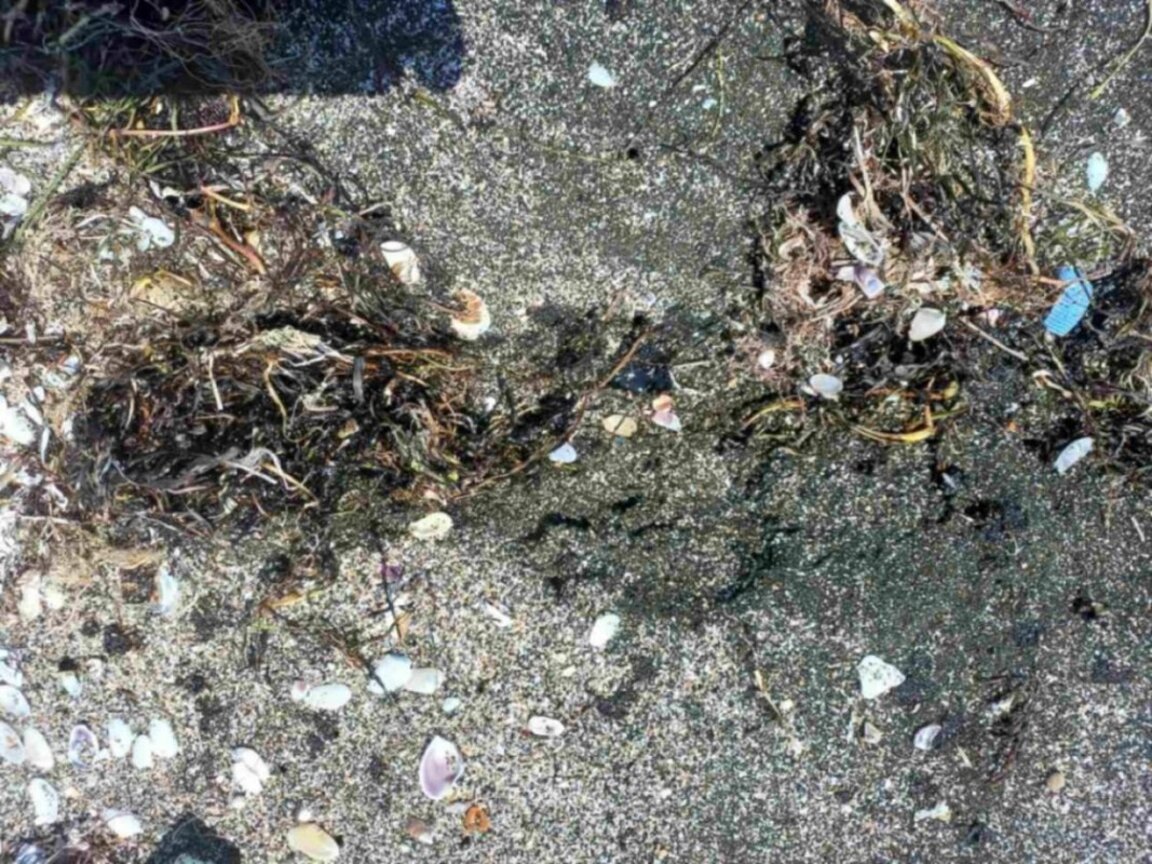 Nueva contaminación en la playa de Pomorie