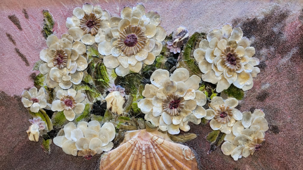 Изложба "Морски вдъхновения" събира картини с миди от цял свят