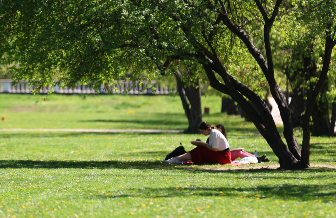 Sunny Sunday with slightly higher temperatures