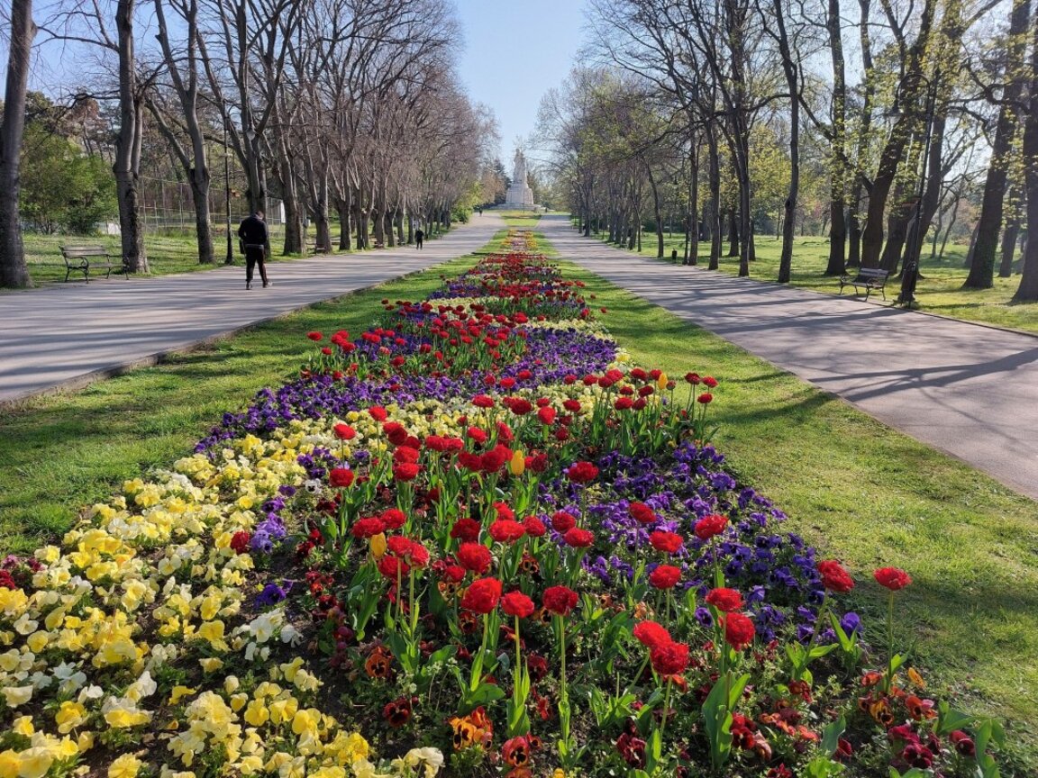 Морската градина