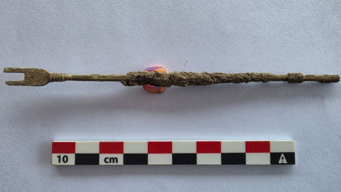 Ancient instrument for removing bladder stones discovered in Heraclea Sintica