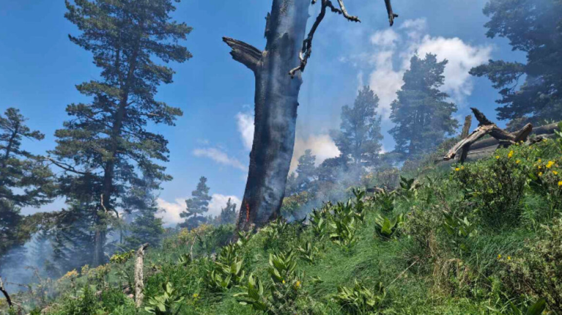 Un rayo provoca un incendio en el Parque Natural del Monasterio de Rila